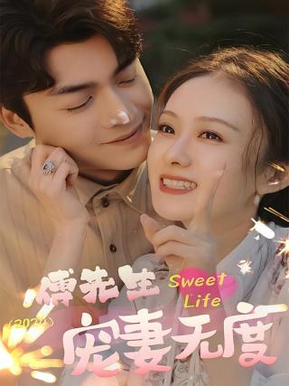 短剧傅先生宠妻无度海报