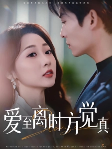 短剧爱至离时方觉真海报