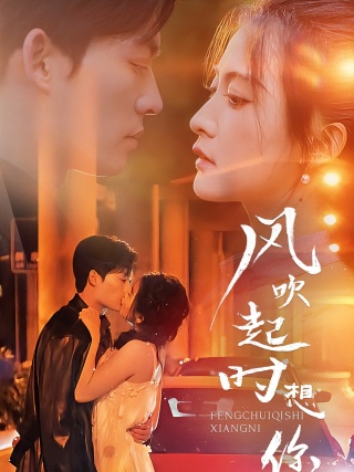短剧风吹起时想你海报