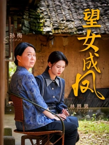 短剧望女成凤海报