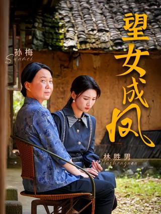 短剧望女成凤海报