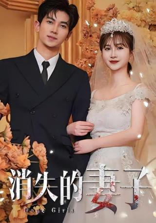 短剧消失的妻子海报