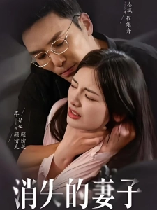 短剧消失的妻子海报