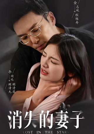 短剧消失的妻子海报