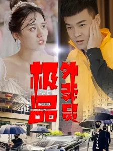 短剧极品外卖员海报