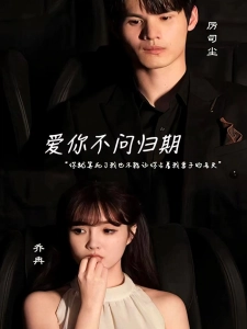 短剧爱你不问归期海报