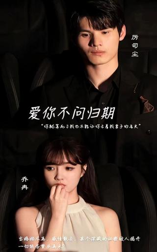 短剧爱你不问归期海报