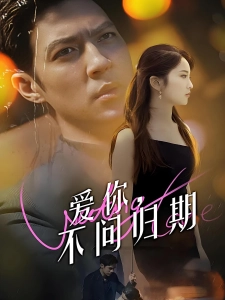 短剧爱你不问归期海报