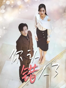 短剧你认错人了海报