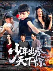 短剧少年出拳天下惊海报