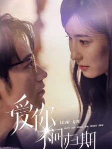 短剧爱你不问归期海报