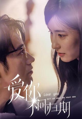 短剧爱你不问归期海报