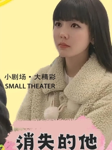 短剧消失的他海报