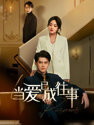 短剧当爱已成往事海报