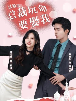 短剧试婚后，总裁玩命要娶我海报