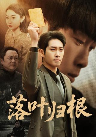 短剧落叶归根海报