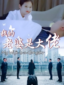 短剧我的老婆是大佬海报