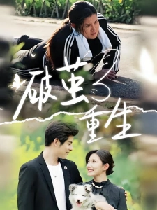 短剧破茧重生海报