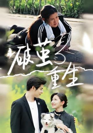 短剧破茧重生海报