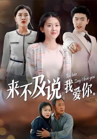 短剧来不及说我爱你海报