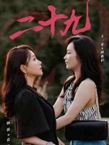 短剧二十九海报