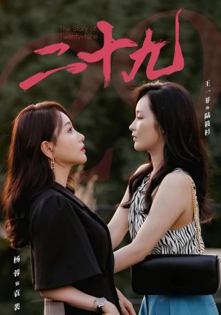 短剧二十九海报