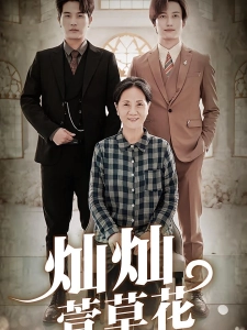 短剧灿灿萱草花海报