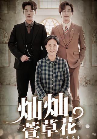 短剧灿灿萱草花海报