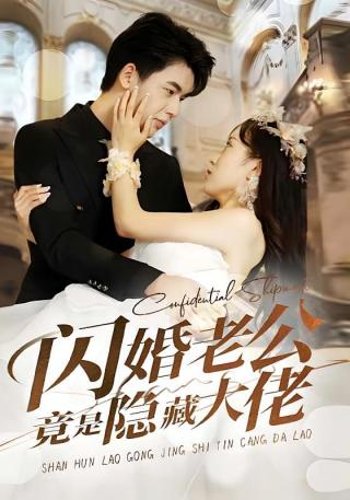 短剧闪婚老公竟是隐藏大佬海报