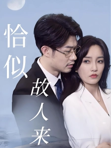 短剧恰似故人来海报