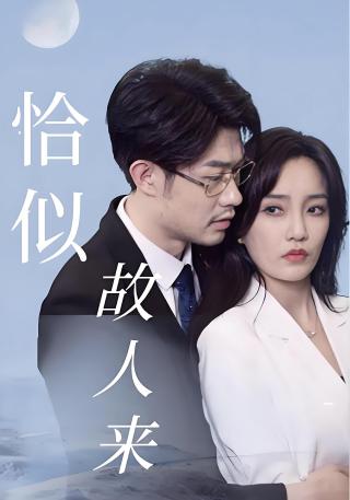 短剧恰似故人来海报