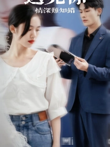 短剧遇见你情深难知错海报