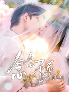 短剧念念不忘，必有回响海报