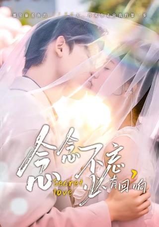 短剧念念不忘，必有回响海报