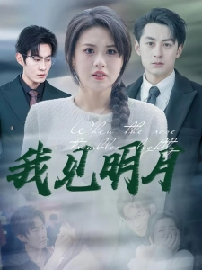 短剧我见明月海报