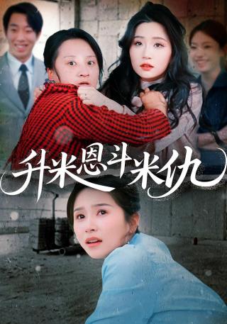 短剧升米恩斗米仇海报