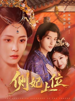 短剧侧妃上位海报