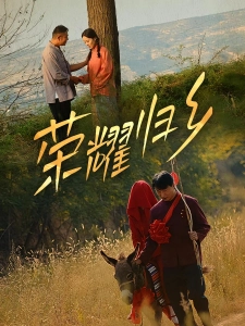 短剧荣耀归乡海报