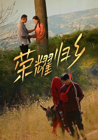 短剧荣耀归乡海报