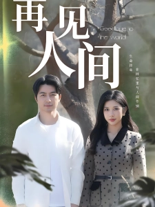 短剧再见人间海报