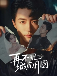 短剧再不见城南月圆海报