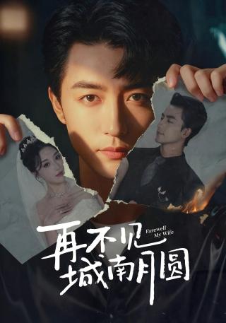 短剧再不见城南月圆海报