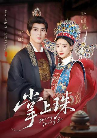 短剧掌上珠海报