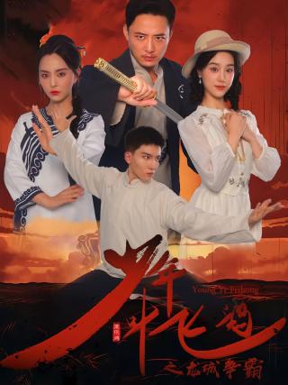 短剧少年叶飞鸿之龙城争霸海报