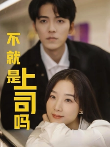 短剧不就是上司吗海报