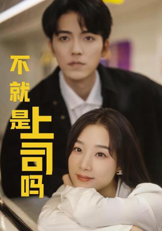 短剧不就是上司吗海报