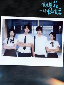 短剧像烟花一样灿烂海报