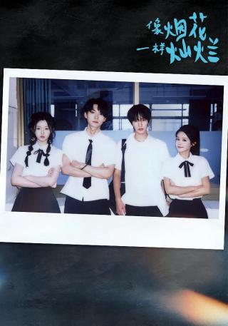 短剧像烟花一样灿烂海报