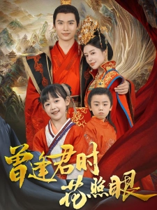 短剧曾逢君时花照眼海报