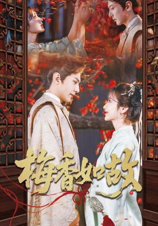 短剧梅香如故海报